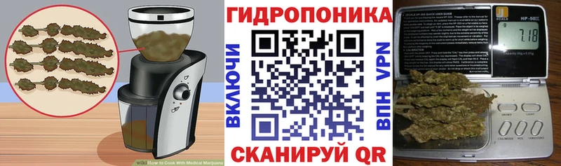 Canna-Cookies конопля  Мураши 