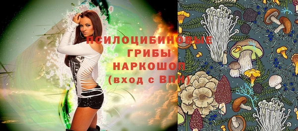 молекула духа Алексеевка