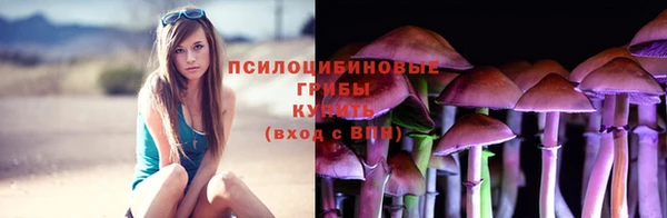 бошки Алзамай